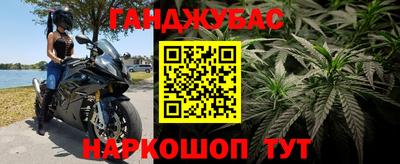PSILOCYBIN Свободный