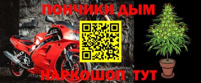 PSILOCYBIN Свободный