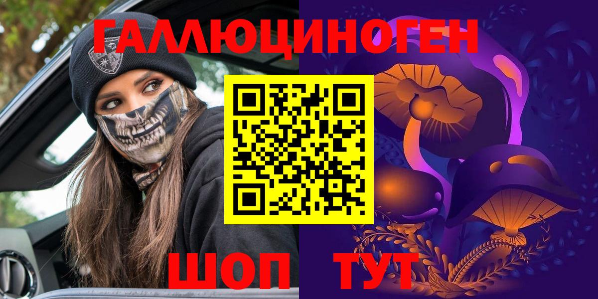 Псилоцибиновые грибы Psilocybe Петрозаводск