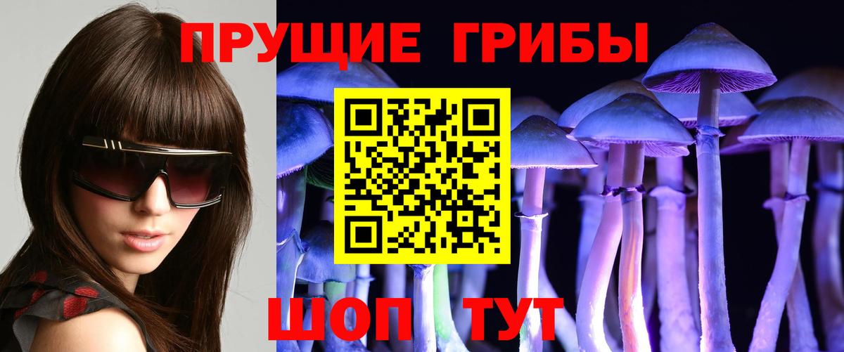 Петрозаводск  Галлюциногенные грибы MAGIC MUSHROOMS  Вход с VPN 